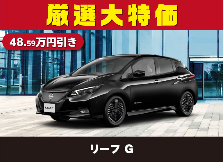 リーフ G 厳選大特価 48.59万円引き