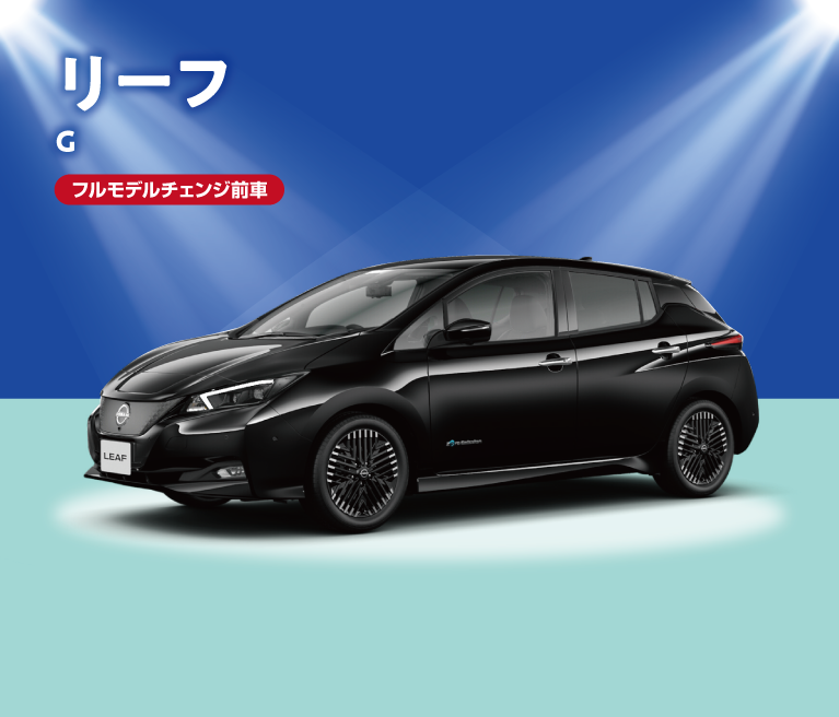 リーフG 特別価格