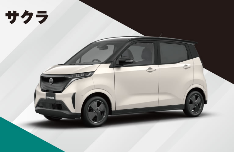 サクラ 特別価格